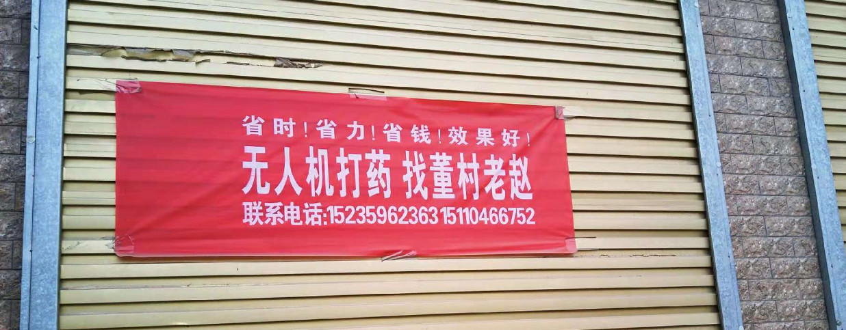 &#20048;&#40060;
