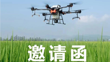 &#20048;&#40060;